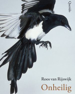 Rijswijk_Onheilig