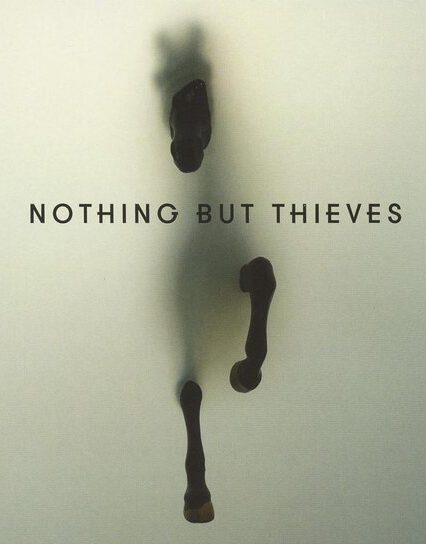 nothing-but-thieves-nothing-but-thieves_icon